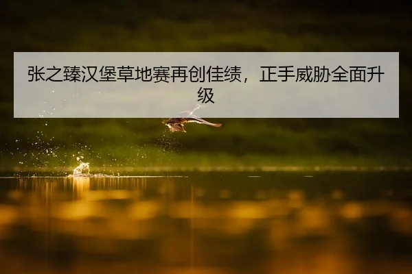 张之臻汉堡草地赛再创佳绩，正手威胁全面升级